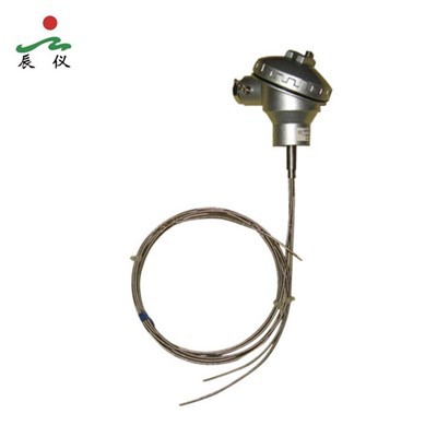 Mitmepunktiline termopaarsond